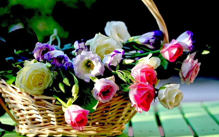 beautiful-flower-basket-wallpaper-1920x1200-531d39cabaf55.jpg