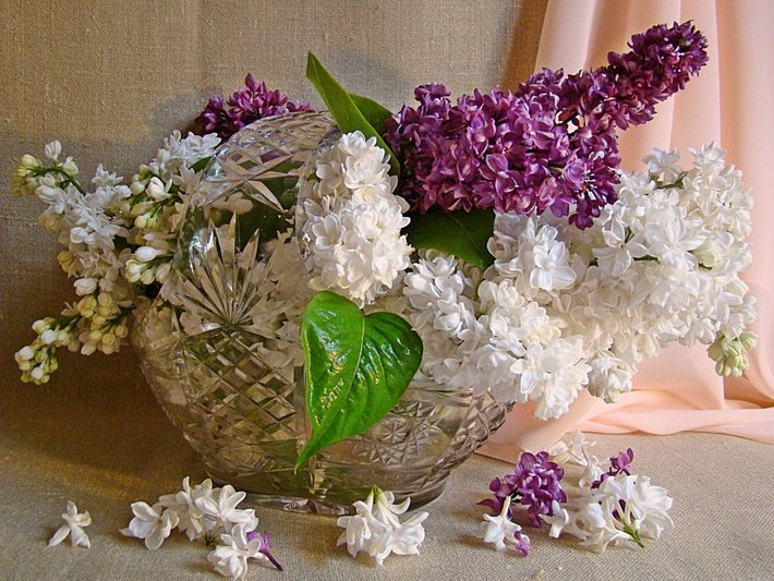 lilacs-bouquet-vase-crystal-spring-petals.jpg