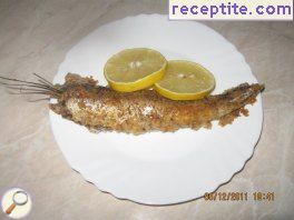 виж снимката виж снимката