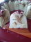 от dessi_avon от dessi_avon