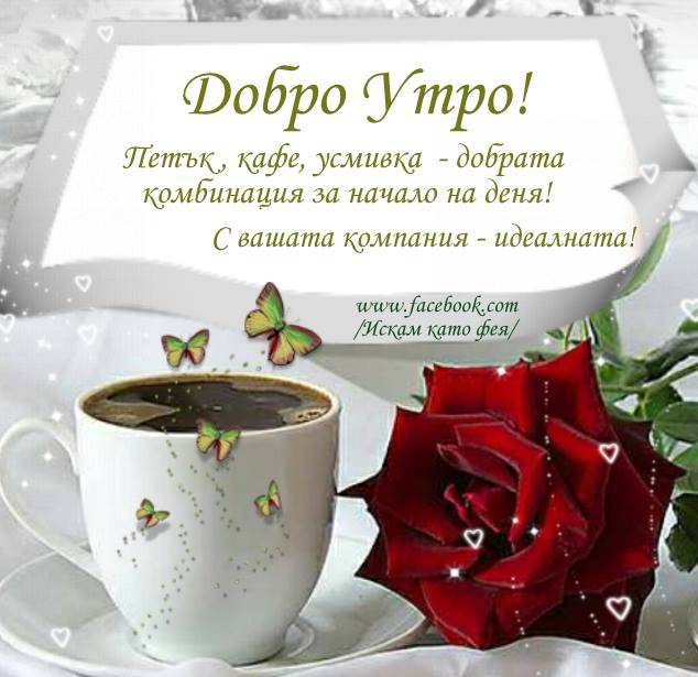 002afbc4d68ccbbe13cf1815b74b8bc15f2b2b174412734.jpg