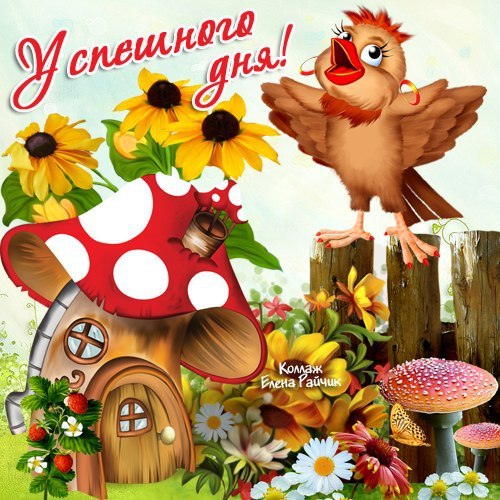 pozhelanija_dobrogo_utra_ljubimoj_devushke.jpg