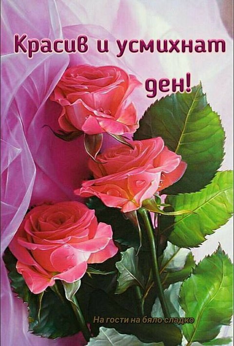 14915238_1020887381354936_6986646963467443827_n.jpg (85.76 KиБ) Видяна 3382 пъти 14915238_1020887381354936_6986646963467443827_n.jpg