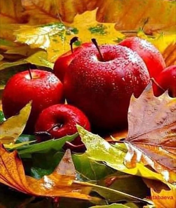 44249888_10215407882542901_5978207344859807744_n.jpg (101.23 KиБ) Видяна 3634 пъти 44249888_10215407882542901_5978207344859807744_n.jpg