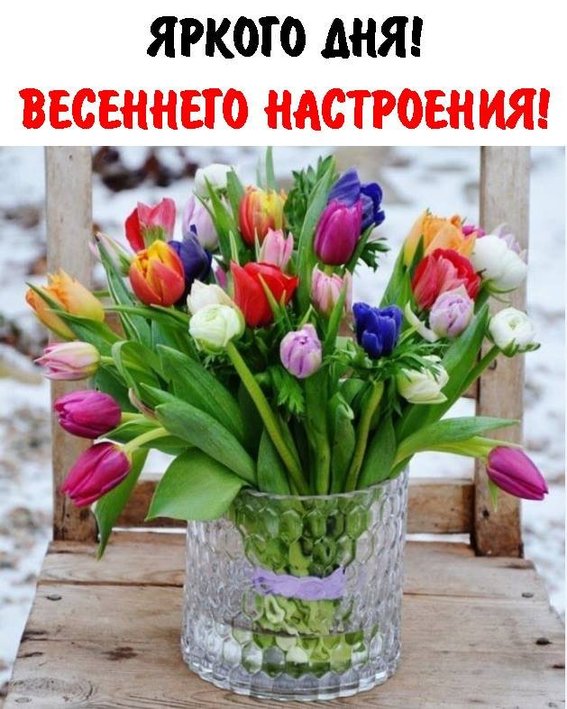 52999934_1885626964870659_1847319653676744704_n.jpg (94.09 KиБ) Видяна 4026 пъти 52999934_1885626964870659_1847319653676744704_n.jpg