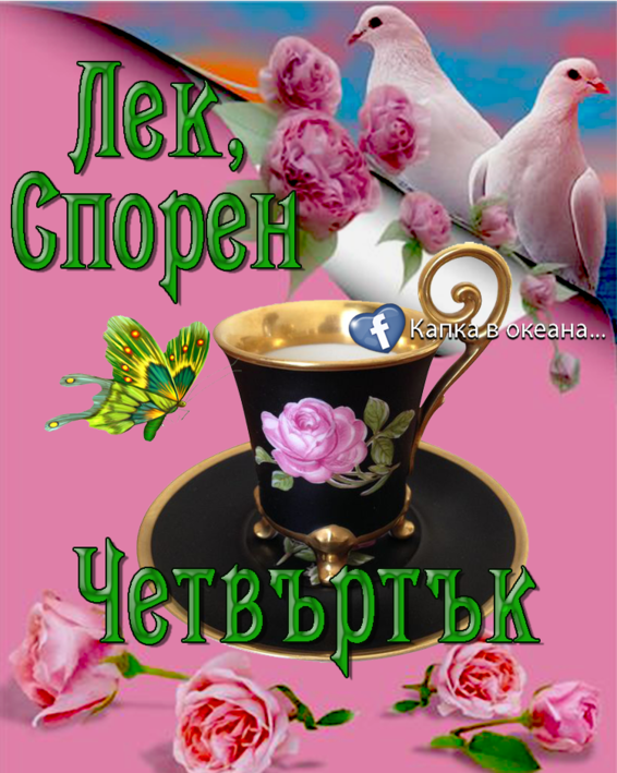 68932020_1927304044038978_7573545609492168704_n.png (929.48 KиБ) Видяна 4579 пъти 68932020_1927304044038978_7573545609492168704_n.png