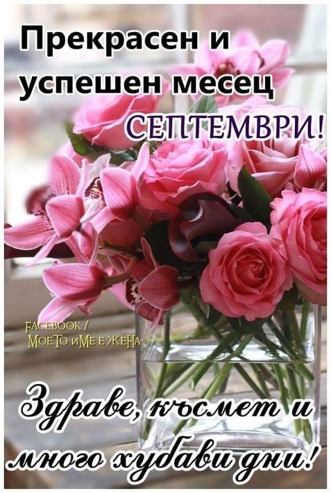 69264662_2514507868592905_3755688346160988160_n.jpg (89.91 KиБ) Видяна 4489 пъти 69264662_2514507868592905_3755688346160988160_n.jpg