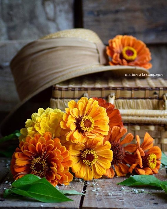 67915428_2655850264438757_7087179316710080512_n.jpg (130.49 KиБ) Видяна 4419 пъти 67915428_2655850264438757_7087179316710080512_n.jpg