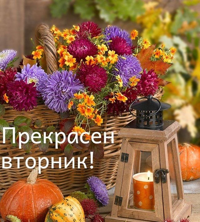 73472776_545355739362330_2835511475806666752_n.jpg (171.9 KиБ) Видяна 4821 пъти 73472776_545355739362330_2835511475806666752_n.jpg