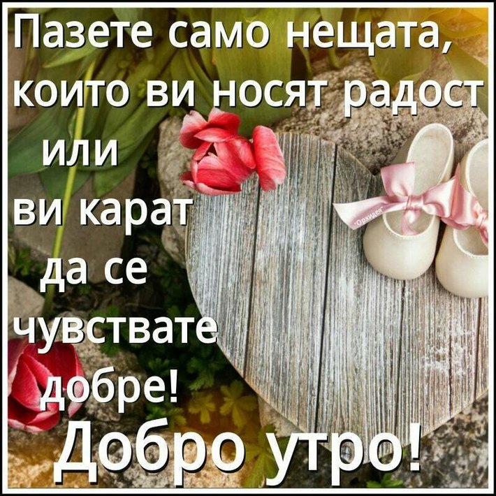 82382014_1774492459353036_7281455848742715392_n.jpg (153.74 KиБ) Видяна 4921 пъти 82382014_1774492459353036_7281455848742715392_n.jpg