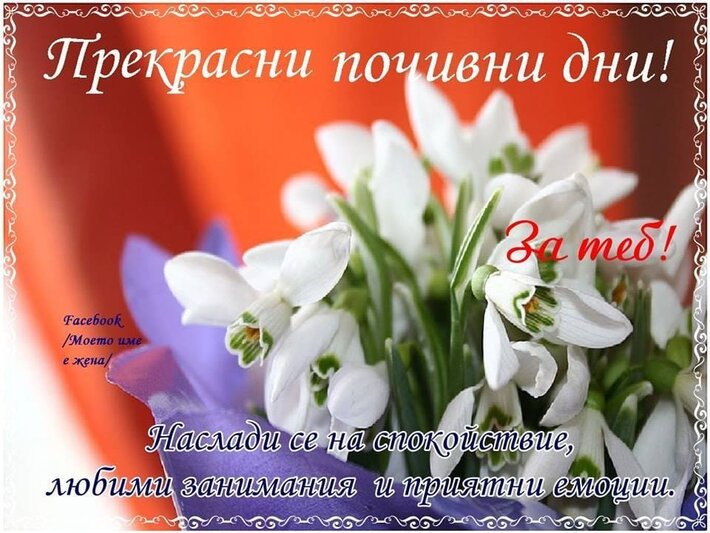 a1530923.jpg (119.32 KиБ) Видяна 2995 пъти a1530923.jpg