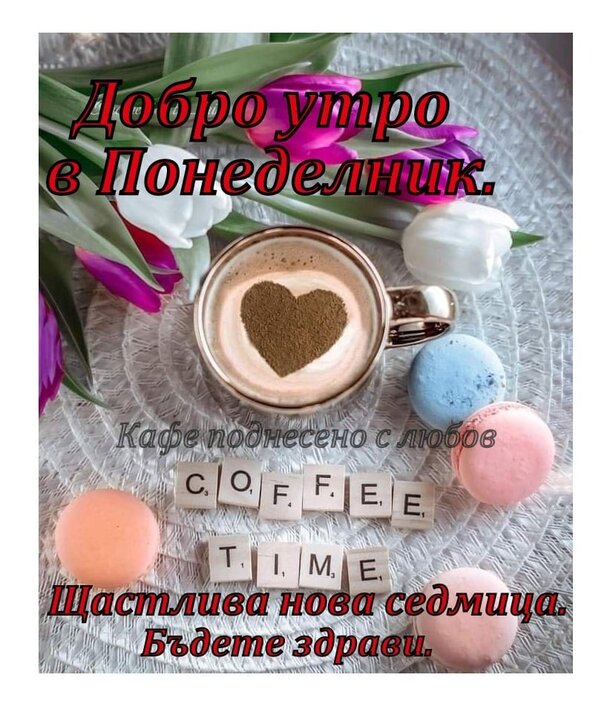 273538310_3098513783700394_247810923504170458_n.jpg (154.07 KиБ) Видяна 2969 пъти 273538310_3098513783700394_247810923504170458_n.jpg