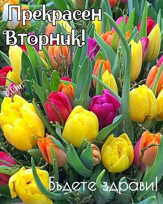 272100867_4523315141113114_8200148635421776241_n.jpg (183.21 KиБ) Видяна 2952 пъти 272100867_4523315141113114_8200148635421776241_n.jpg