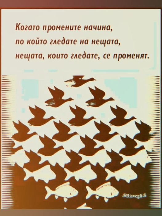 298448061_5519946571400298_2767765605373870365_n.jpg