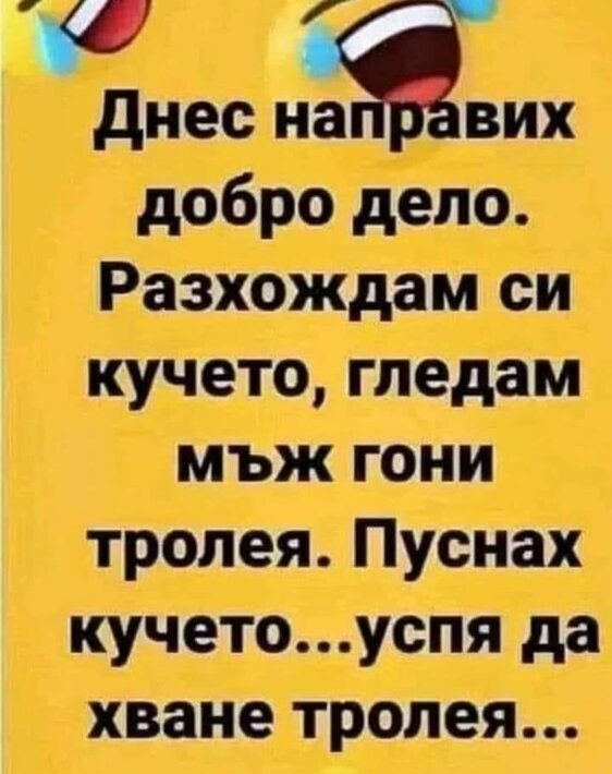 384754983_843056004123530_244754689680813706_n.jpg
