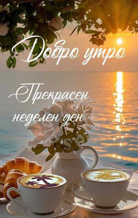 0-02-05-4f3db5bc9664a69cfdcd934f78da7bcbc79fb6c4de1e6c410fb8229e1271d166_a25cf65730bce2c2.jpg
