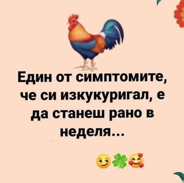 Bol9k.jpg