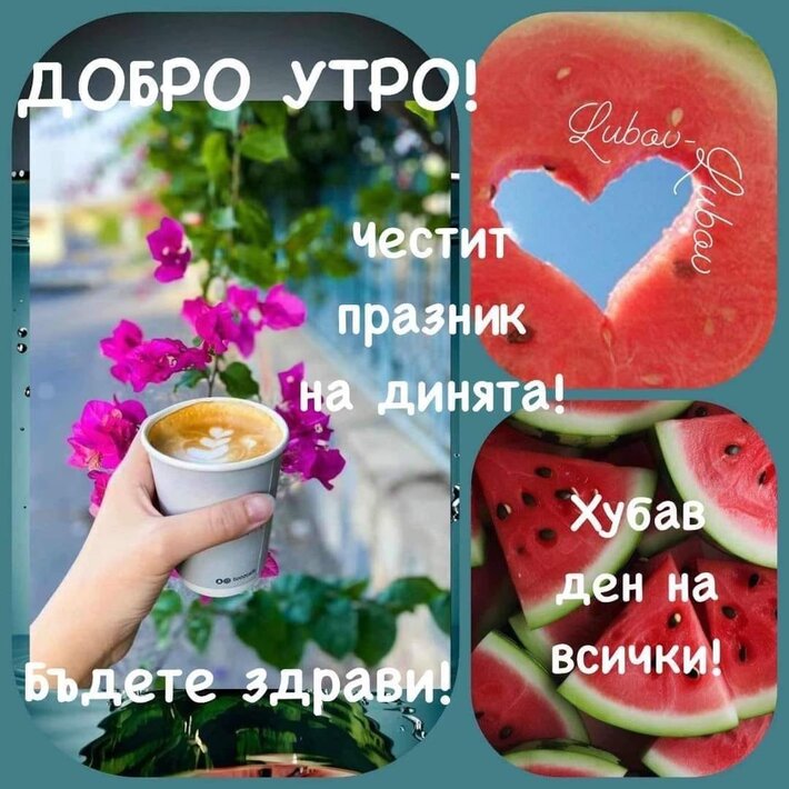 d7zYE.jpg