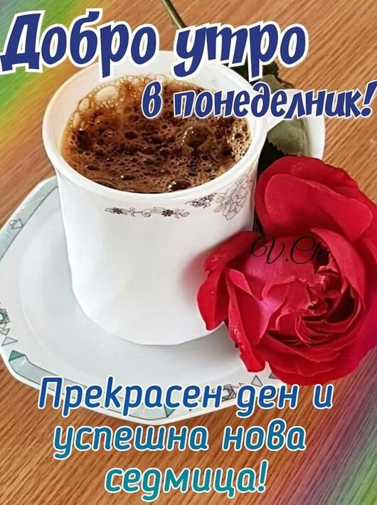0-02-05-05f539e87dc5a074169a20d4ddac40af1b2412b2ec29a315bce9104c80386144_887e7e5110f20a63.jpg
