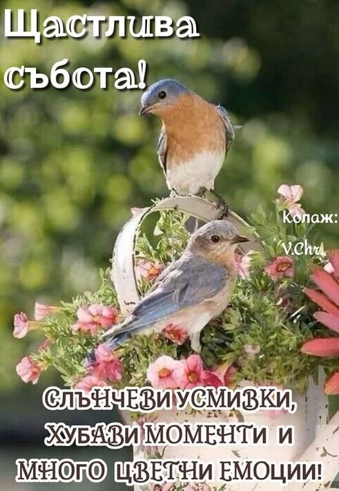 0-02-05-101bd09a080b516e647204e440f058e201666ebd7673c5db720e6ecbebffdede_395d5a76b7a0fd6c_6.jpg