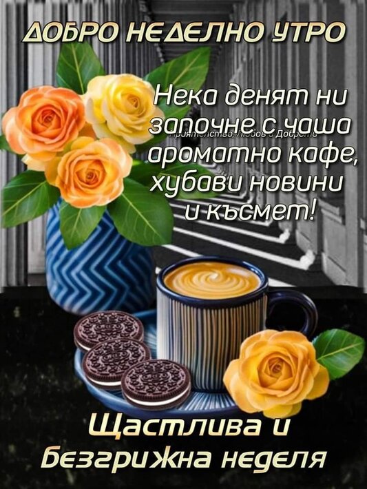 0-02-05-70f7cab0e3c077de40a9329e54601a01a6af14ae3ed6ce3e9014bdc22b4017ec_225b51f240b11195.jpg