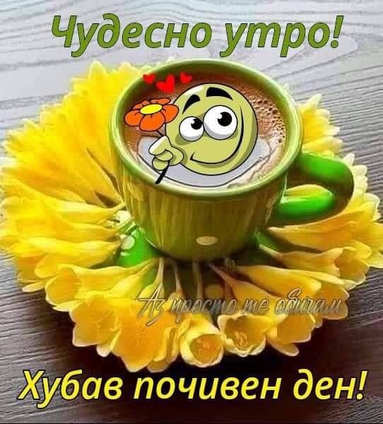 0-02-05-9c757b296a8ea0821a1952822f25573b4a7aa611be4bef5d6e14a2fdb4be86c4_83eafd9c482ddb6.jpg