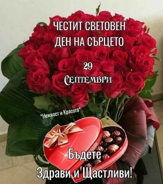 rTSpl.jpg
