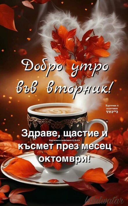 0-02-05-80f51addb992f30194cac2e1a140fd4bb70e06aeb91f0366d9a8a40cd769a2af_1a5d77c3f7020c0a.jpg