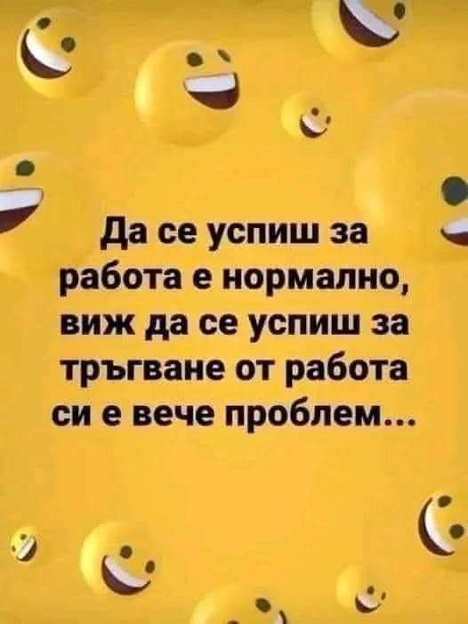 0-02-05-5f99f3d16d086c04c712521d34955a59864029a3c2be845f9fcfab03716e3994_2074e71667bd5325.jpg