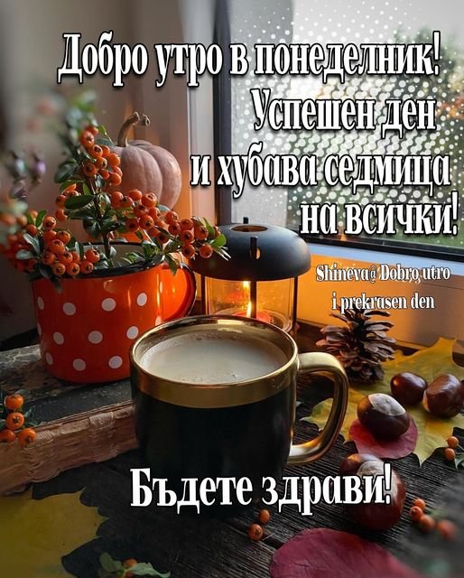 271139679_380809187143908_8518283602746398280_n.jpg