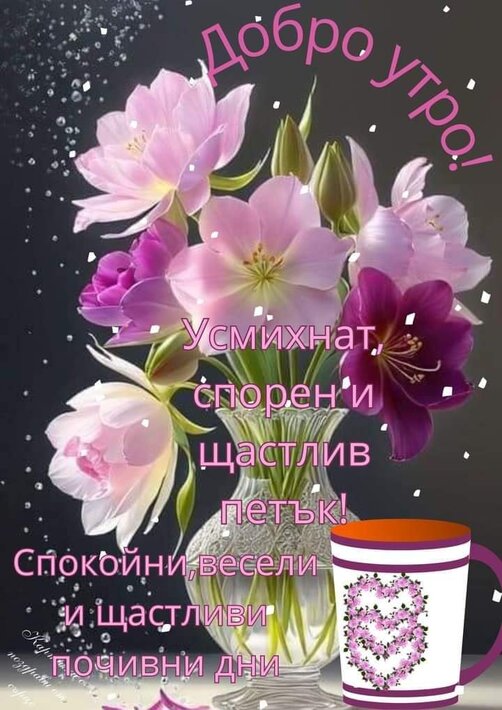0-02-05-467b34e23fb64d4e27988dce8d28b16dbc8b986f799d9e35bb388582273b6252_1adebbe7ade4e6a9.jpg