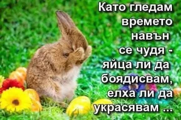 0-02-05-929bc0c904b13c2108f8fdf373560bb2a8f274dea476ef5d39718b5bf56cf94f_fee357ca2da0286d.jpg