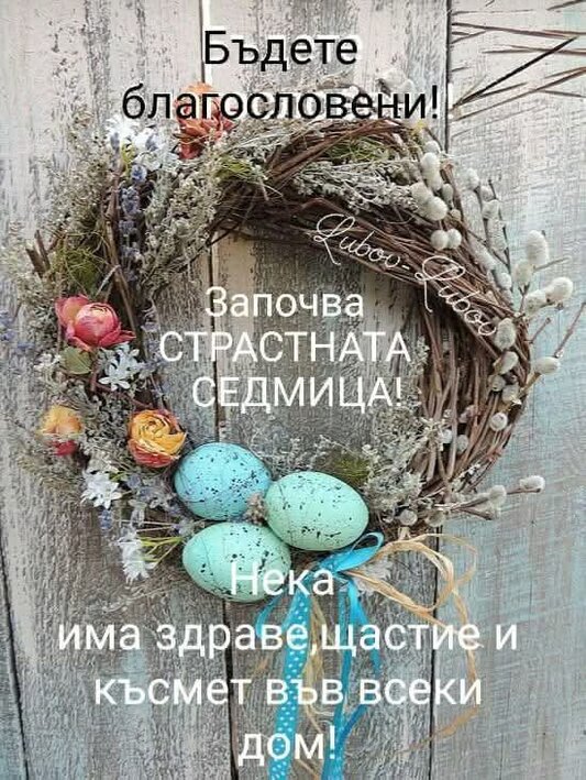 FB_IMG_1744580622705.jpg