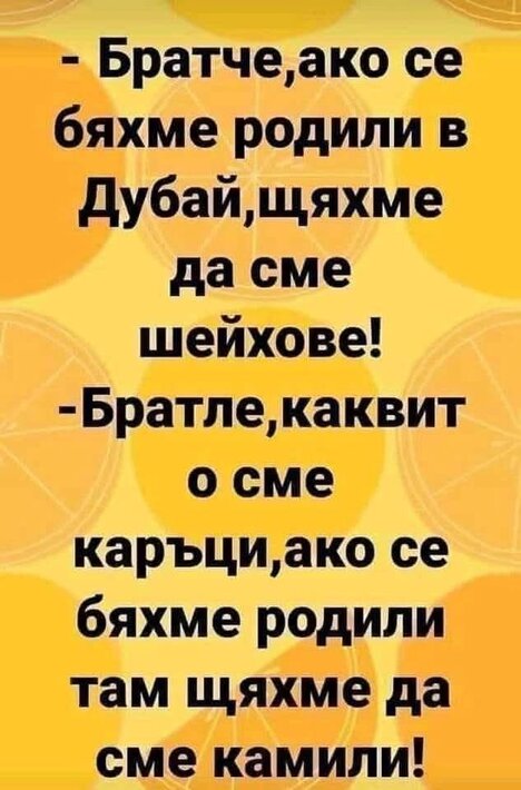 0-02-05-157751e5df755da0efd35989cbff4d4563511359fb987af93d0af5dd701f1255_62f9f49e560d5eeb.jpg