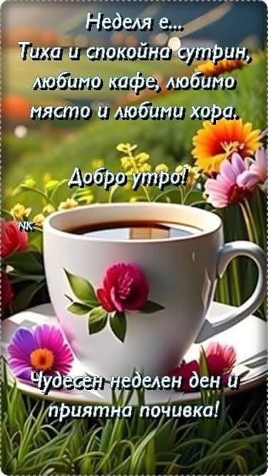 0-02-05-2739c93bd3d84391e78fb7dfe14bc705ed27d90badce7901c6a74072bf22b4fe_ed15f0cc148f28cc.jpg
