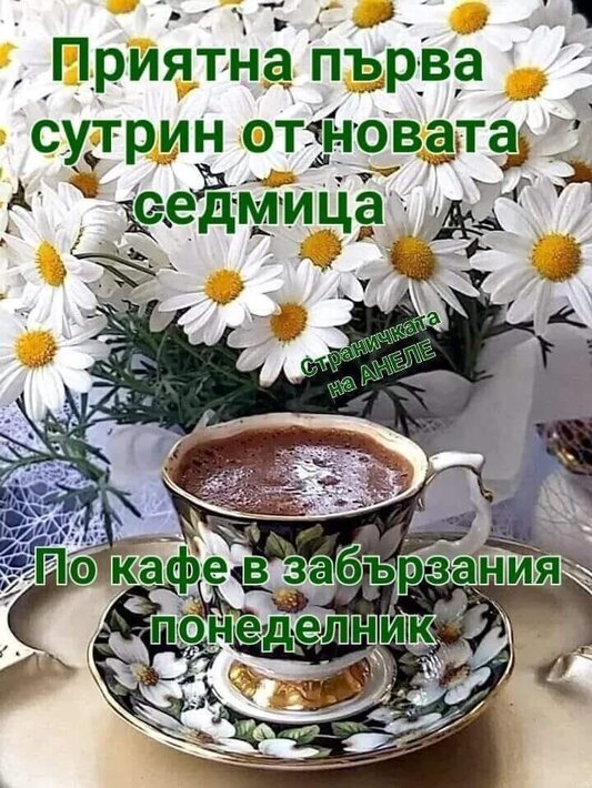 339480145_756721549413029_563766103176902951_n.jpg