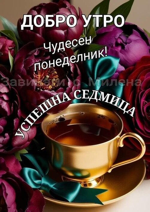 0-02-05-5450d88b9ea98ed948c571b5f74ccdbe5dedd86dc3022bd285d39533998130b5_b32c45ff1119cc1d_1.jpg