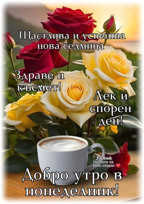 0-02-05-8fe4ed8f87cb27201b5d716d68586e66e2f980d82eac8a7f66946b291ea32c79_31fd8d346ad8d95e.jpg