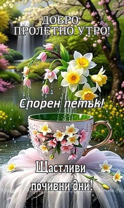 0-02-05-d20afe0ce5208da67a7719fad6afdcd18b2fff69c2cee9faef3ab044c498f828_c18394295810a098.jpg