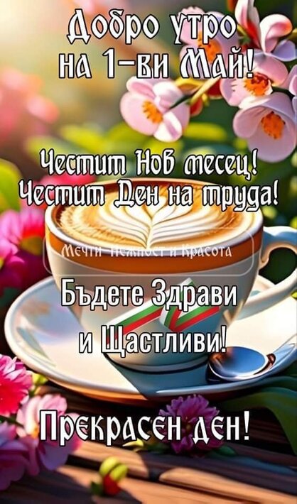 0-02-05-d8f2ad07f44128b5807484ae069731804c8589268ff7a6d98cef6744b5fce5a2_6546fbc674f239e4.jpg